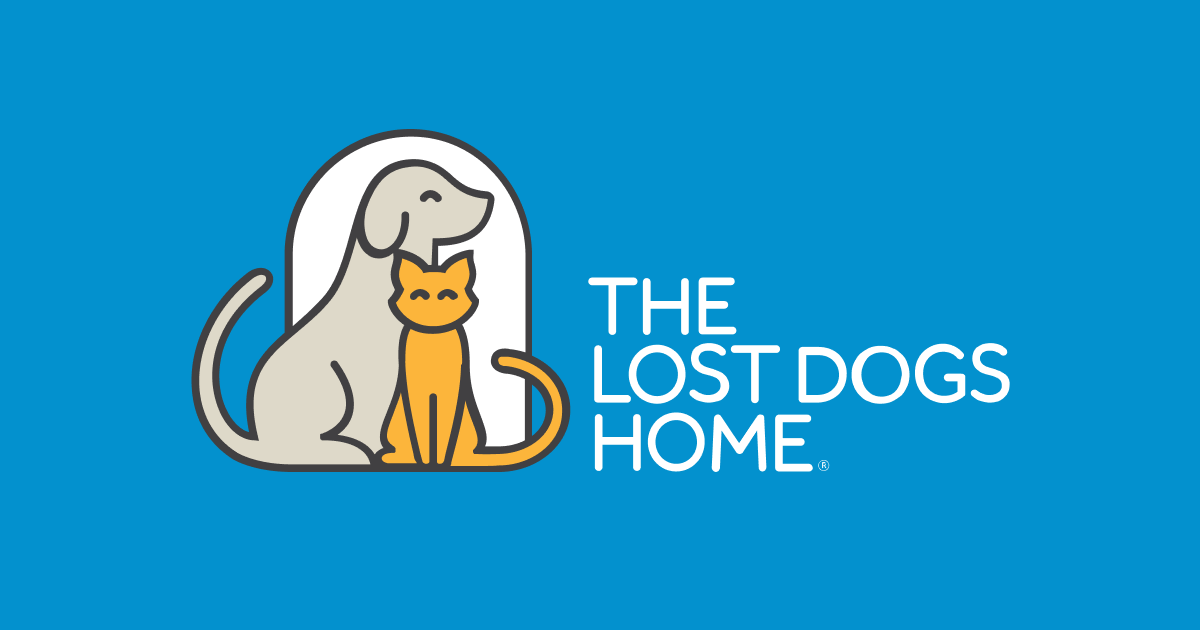 Lost dogs home store dogs