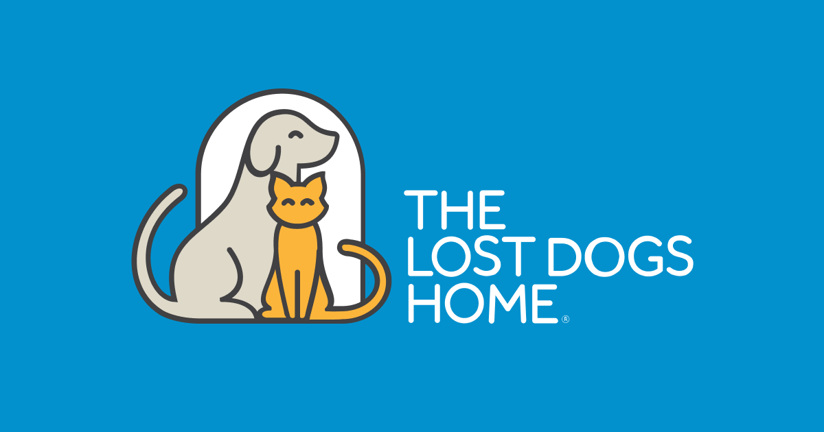Home The Lost Dogs Home